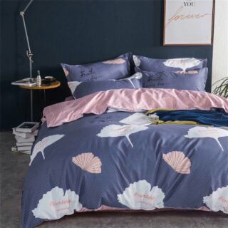 Set chăn ga poly cotton siêu rẻ