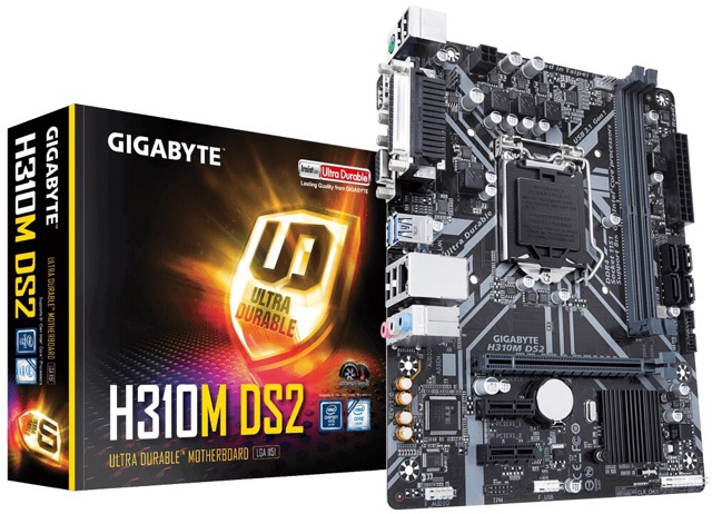 Main GIGABYTE H310M-DS2