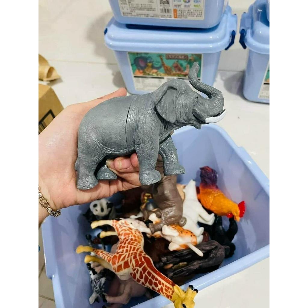 Thùng Động Vật 58 Chi Tiết Đồ Chơi Con Vật Mô Hình Thú Cho Bé [Nhựa An Toàn]