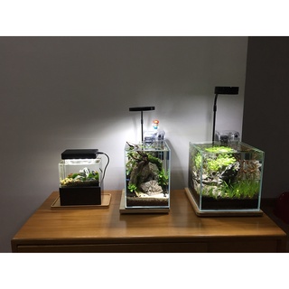 Bể cá mini Bể cá mini cubic