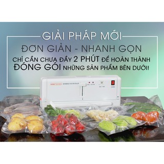 Máy hút chân không DZ-300A