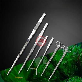 Nhíp Và Kéo Inox Trồng Cây Cho Hồ Thủy Sinh (Hàng Công Ty) - Nhíp Thẳng