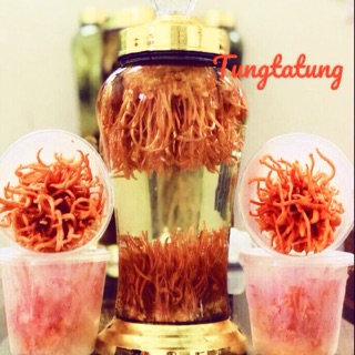 Đông trùng hạ thảo khô Việt Nam 100g/lọ