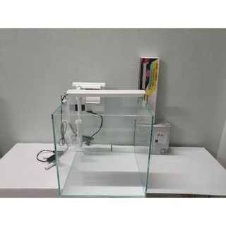 Combo bể cá cubic siêu trong jiy anjinggong 25cm đèn và lọc