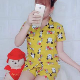 Combo 30 Bộ pizama  cộc đùi