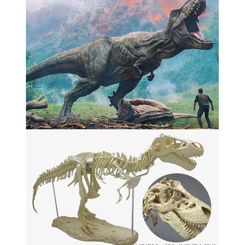 BỘ ĐỒ CHƠI LẮP RÁP MÔ HÌNH XƯƠNG KHỦNG LONG T-REX KÈM MÀU VẼ
