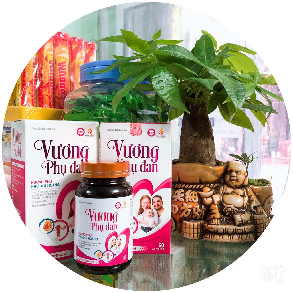 Vương Phụ Đan giúp điều hoà nội tiết