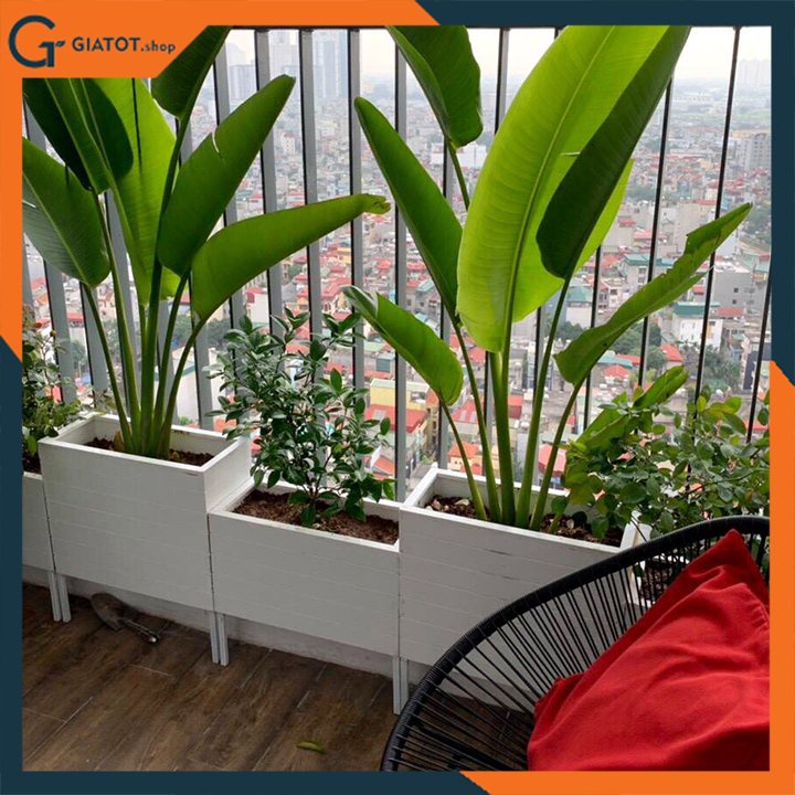 Chậu gỗ nhựa ngoài trời composite kẻ chỉ