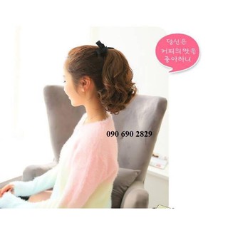 Tóc giả, tóc cột đuôi ngựa móc light