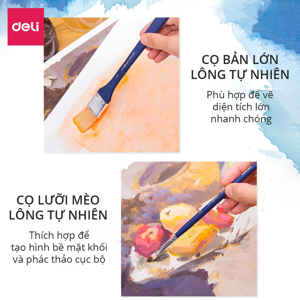 Cọ vẽ chuyên nghiệp DELI cán màu xanh  bộ 10 dụng cụ 73884