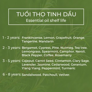Tinh Dầu Tràm Trà/Tea Tree Essential Oil