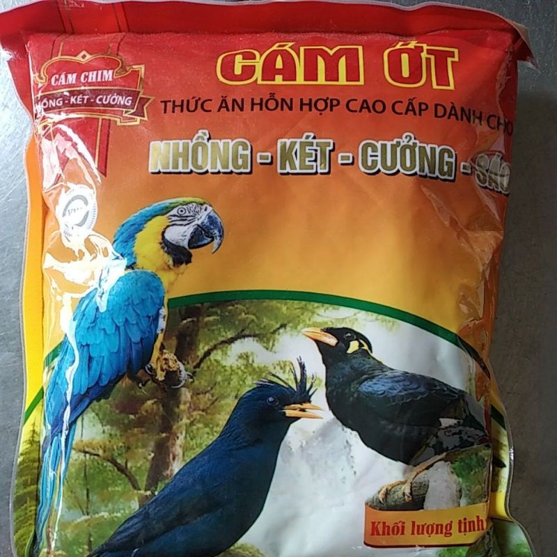 Cám cho chim cảnh