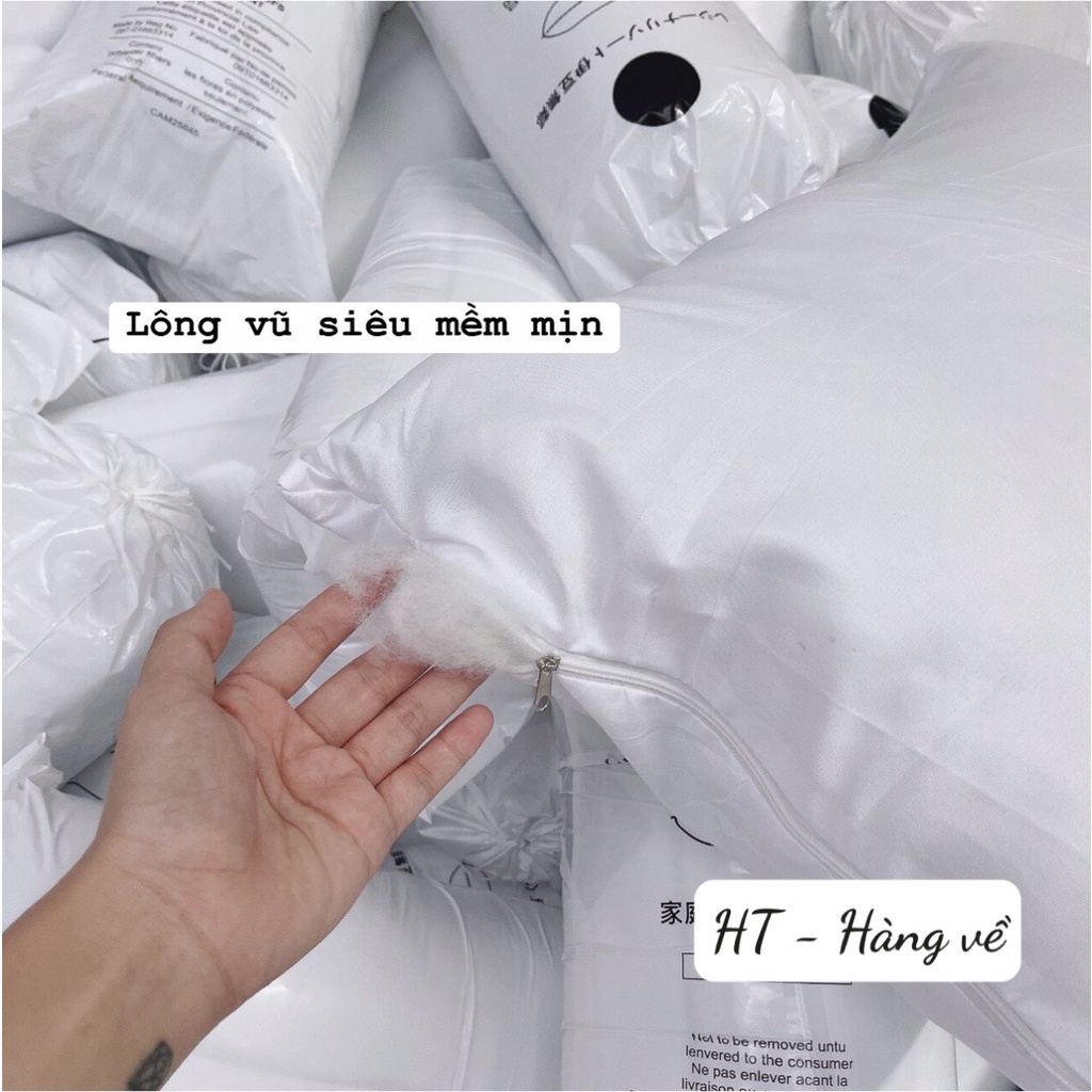 SÉT 2 RUỘT GỐI LÔNG VŨ KHÁNG KHUẨN  JAPAN