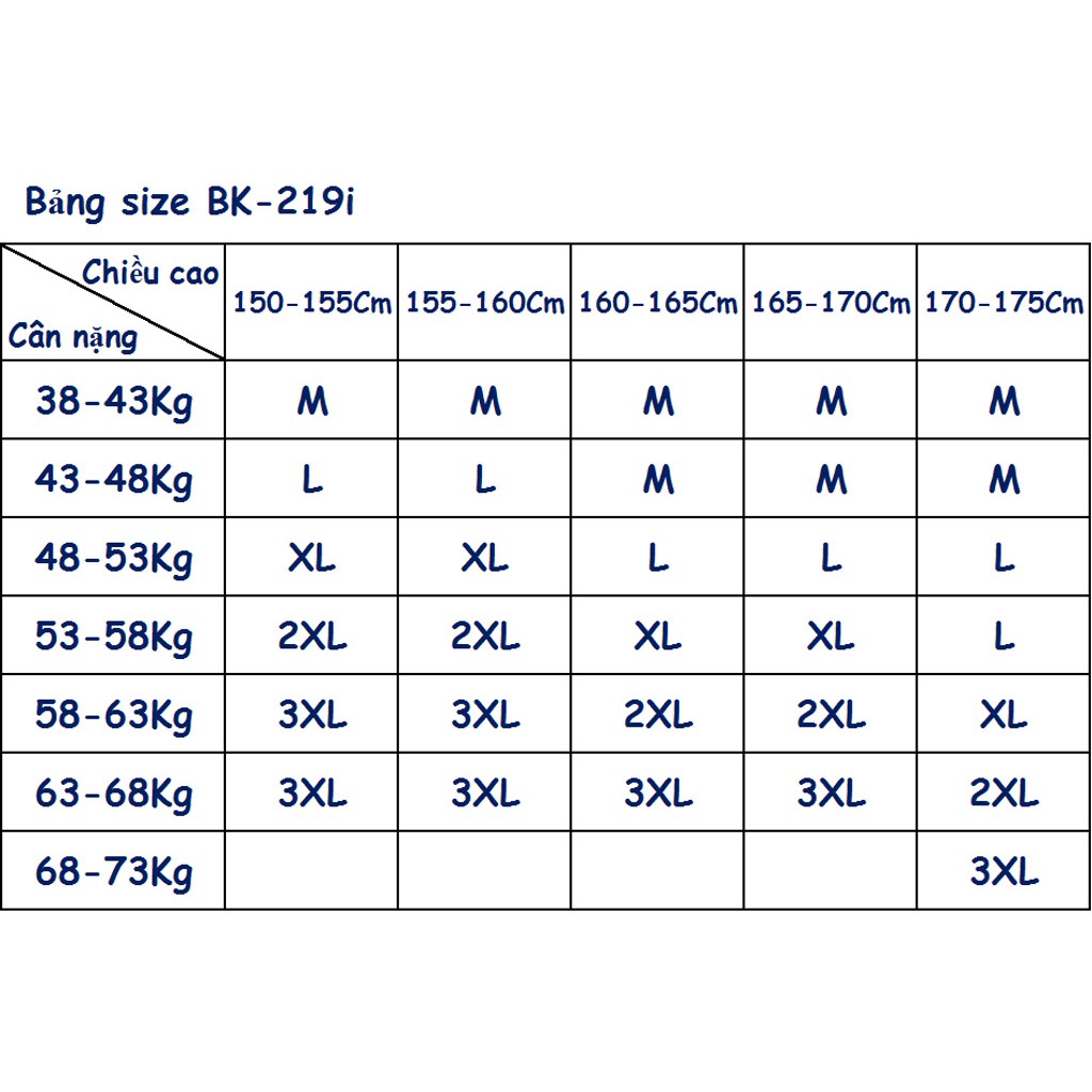 Bikini, đồ bơi nữ duyên dáng kín đáo - BK-219i