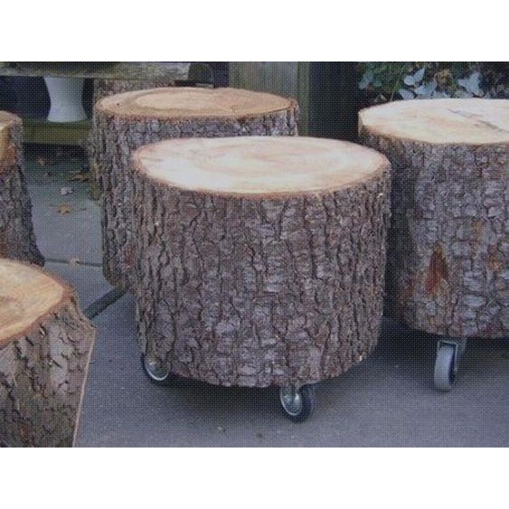 Đôn Gỗ Nguyên Khối | Trang Trí Ngoài Trời | Có Bánh Xe Phi 30cm ~40cm
