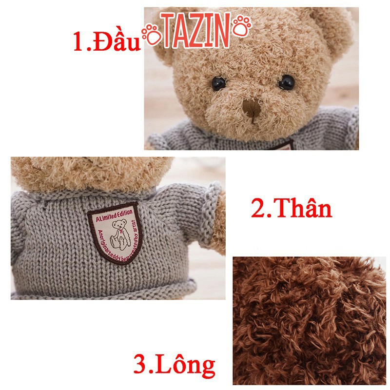 Gấu bông teddy head tales, teddy head tales bông len mini cao cấp Tazin