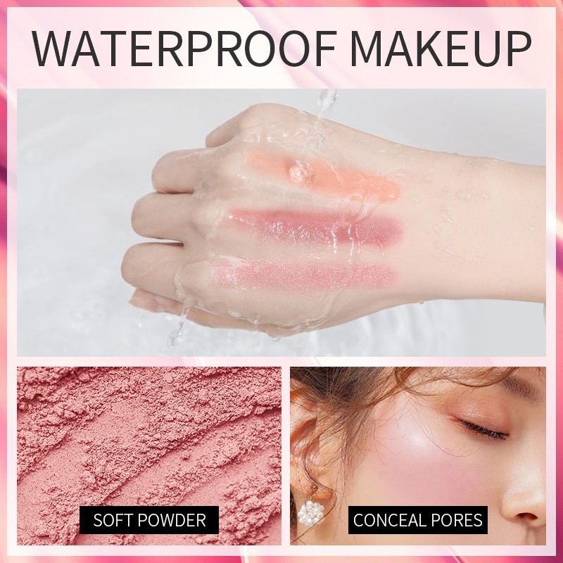 Fenyi 3-Colors Long Lasting Blush 6.8g