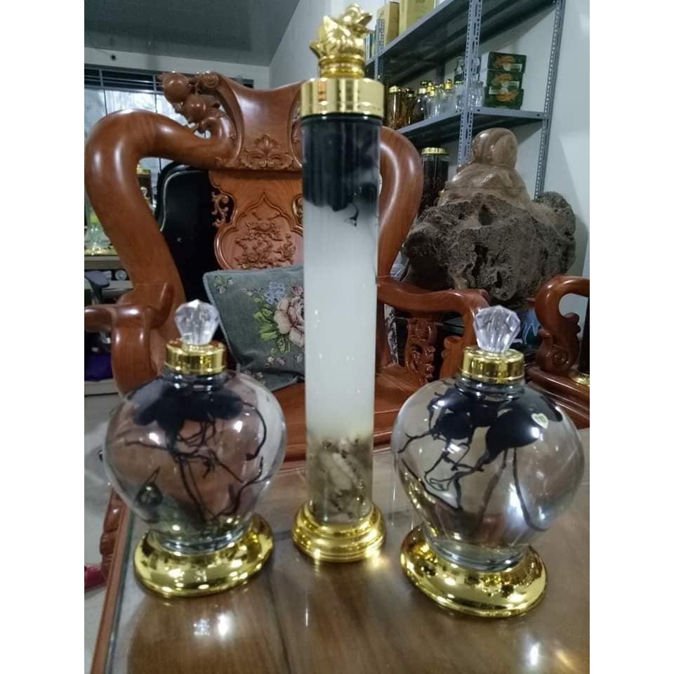 1kg Sâm ô linh tươi