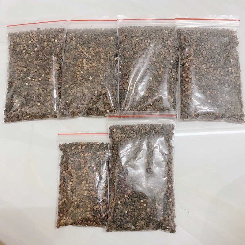 Hạt ba khía cho hamster