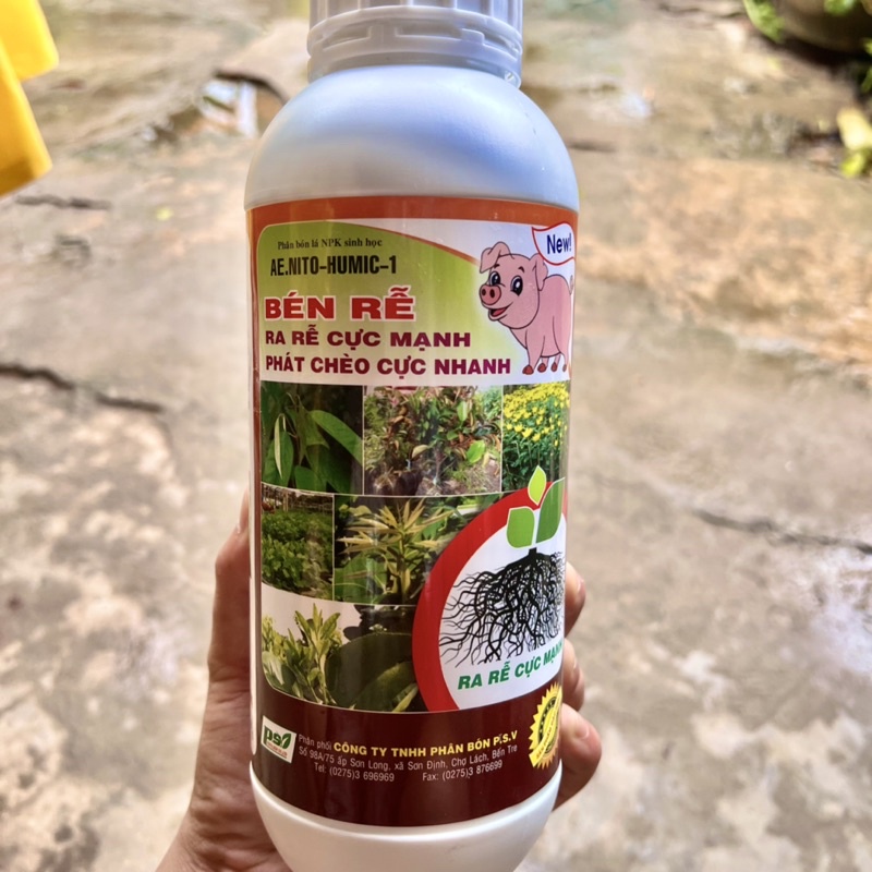 Phân bón bén rễ1 lít kích rễ cực mạnh rễ cám nhiều phục hồi cây bung chồi xanh cây