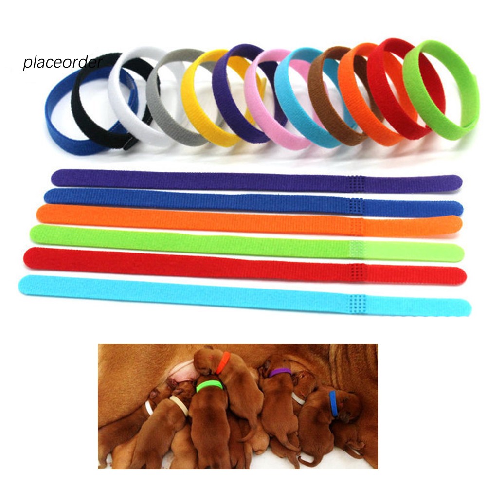 Set 12 vòng đeo cổ phân biệt chó mèo con sơ sinh nhiều màu sắc an toàn khi sử dụng