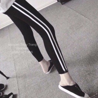 Quần legging 2 sọc