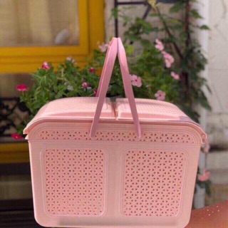 Bộ giấy cuc giua