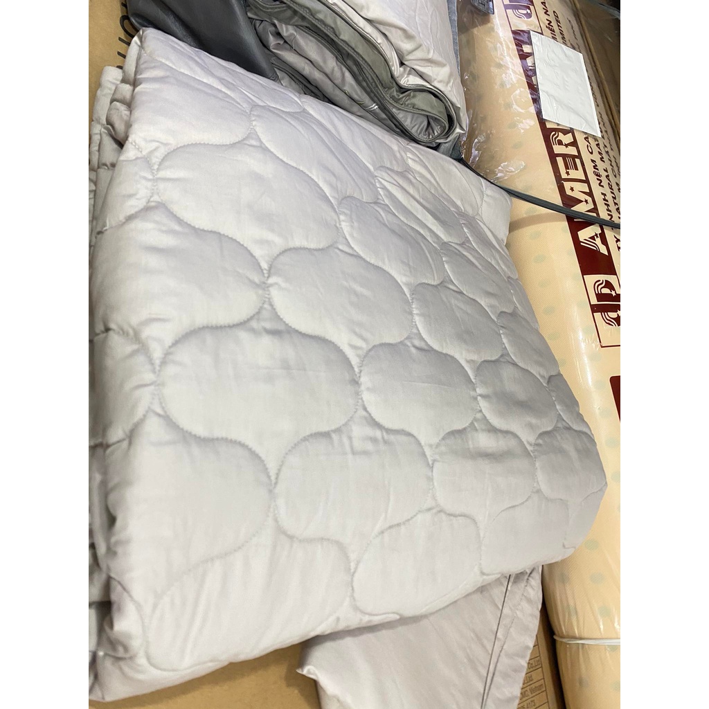Bộ Drap chun chần EVERON MDSC084