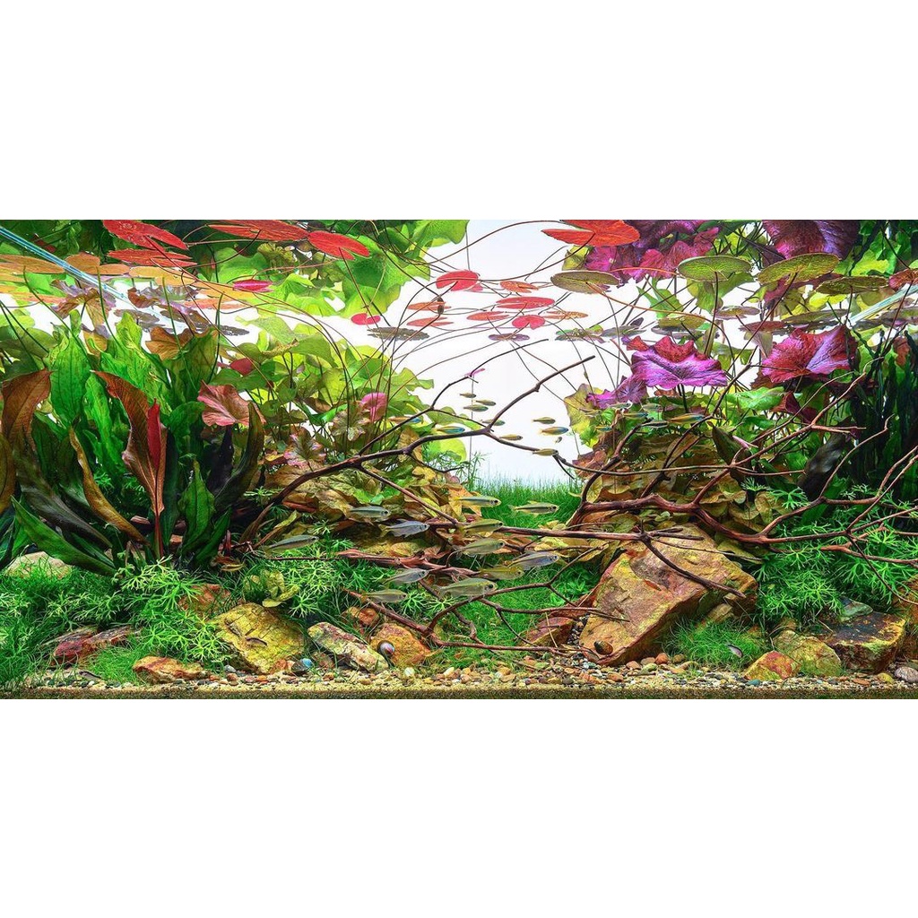 ĐÈN CHIHIROS WRGB PRO 120CM