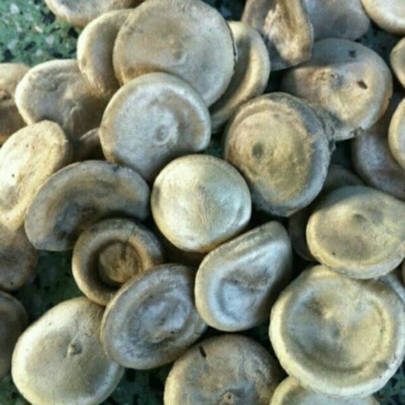 500g mã tiền