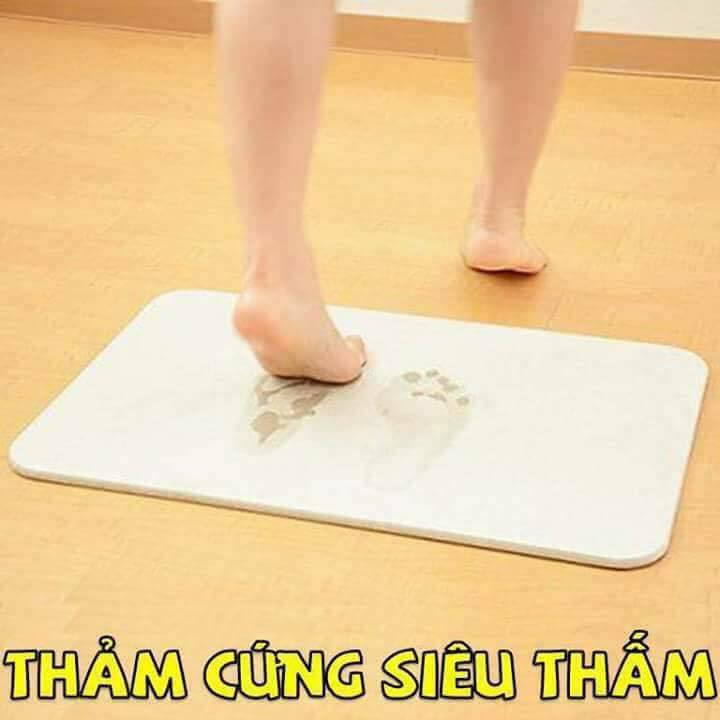 Thảm Đá Siêu Thấm Nhật Bản