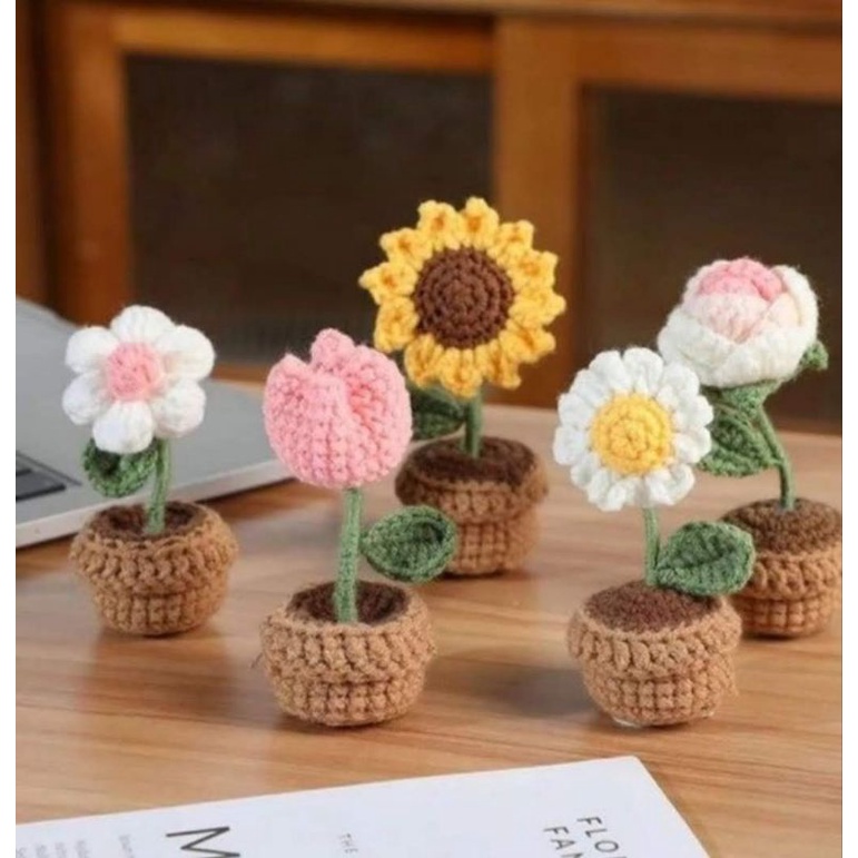 Cây hoa mini siêu xinh