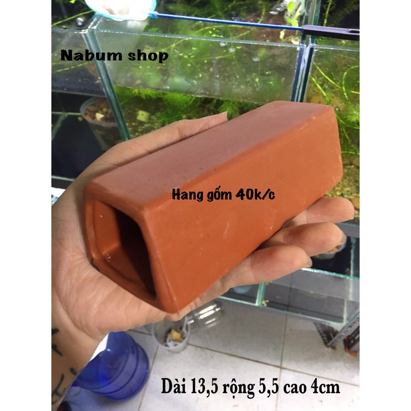 Hang gốm Pleco chữ nhật