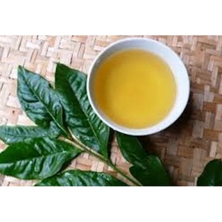 Lá chè, lá trà xanh tươi Hỏa tốc HCM
