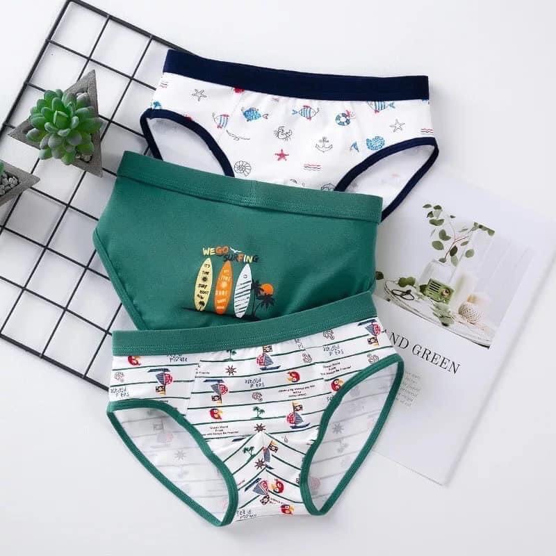 Set 3 Quần Chip Bé Trai Cao Cấp Vải Cotton Dành Cho Bé Trai 14-45kg