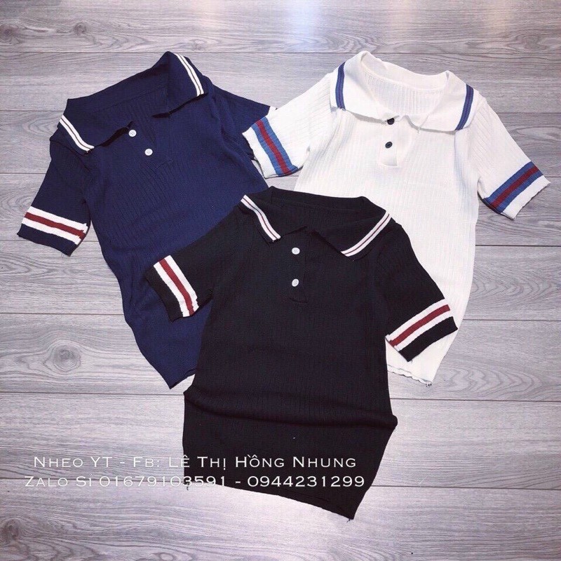 Áo len polo basic cổ đức pha sọc màu nổi bật