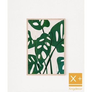 tranh cây trầu bà lá lỗ, tranh treo tường canvas.