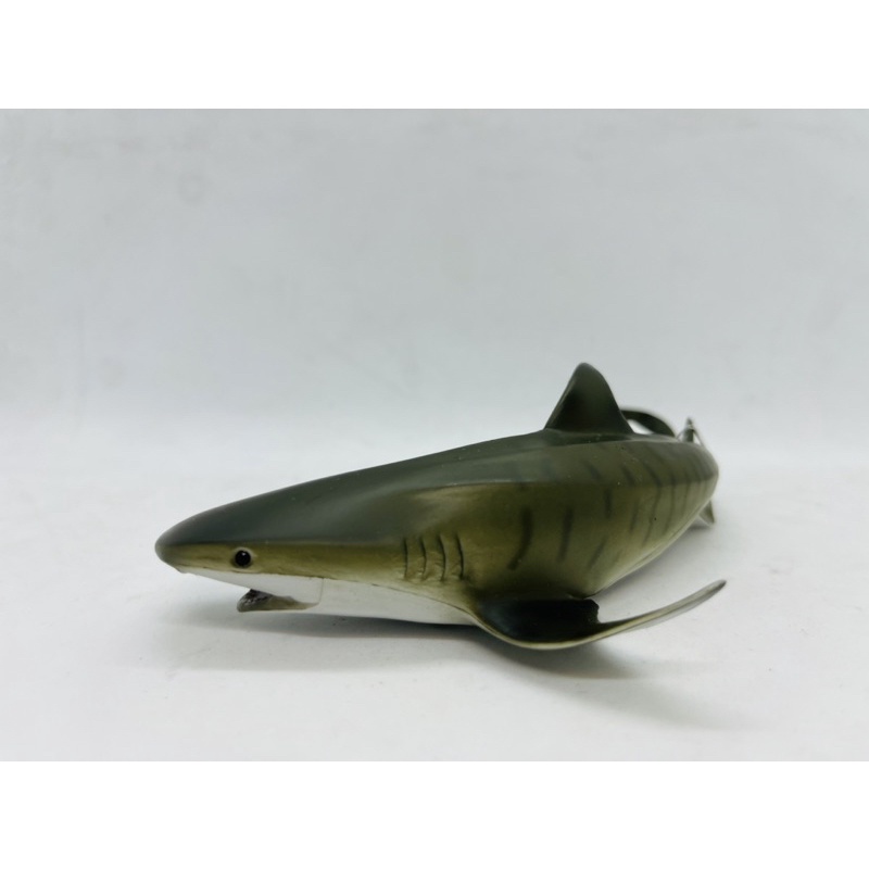 Mô hình động vật , đồ chơi con vật CollectA chính hãng Cá mập hổ 88661 - Schleich House