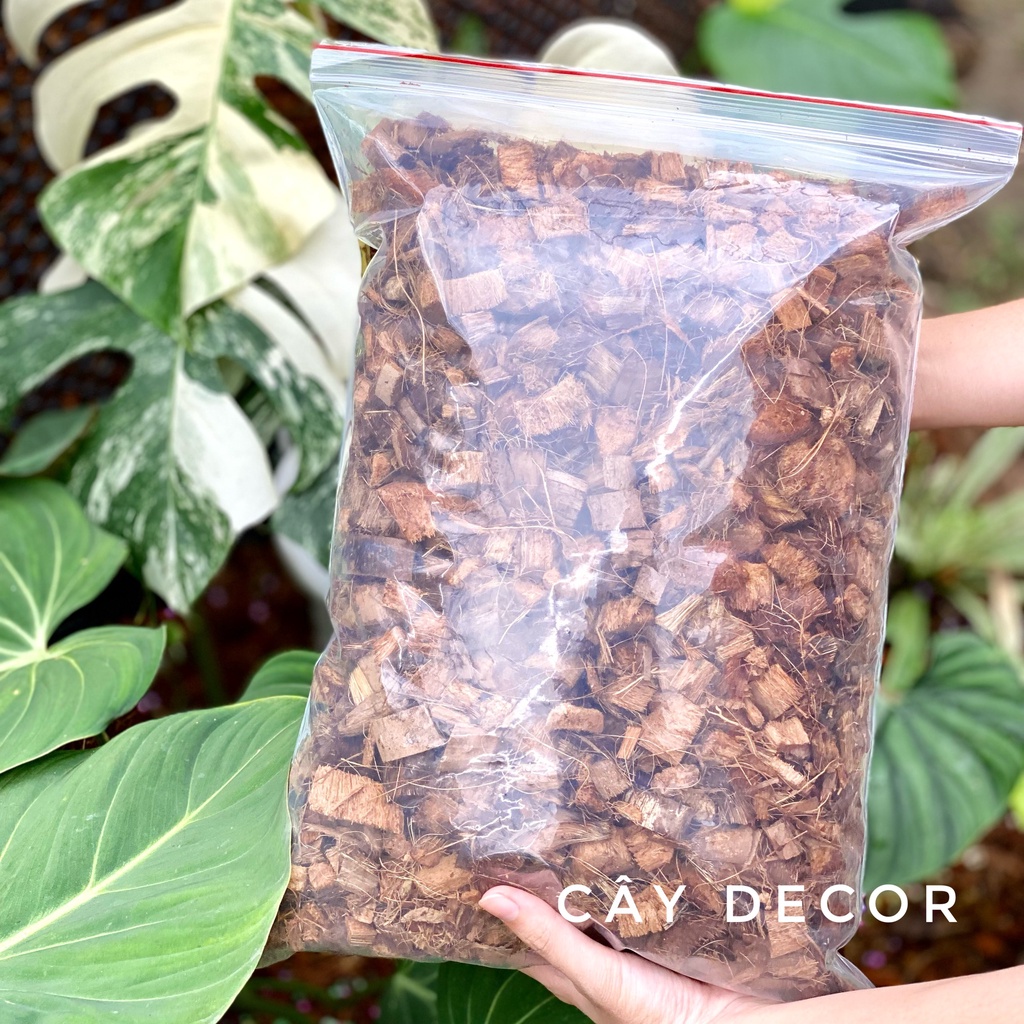 Xơ dừa cục ĐÃ XỬ LÝ cho kiểng lá, lan, size 12cm, gói 8L và 15L