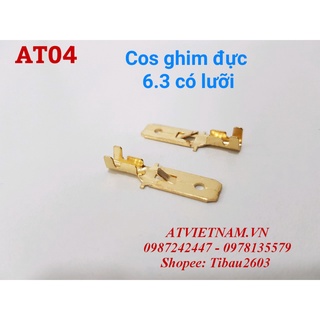 Cos Đực Ghim 6.3 - AT04 ( 1 bịch/50 cái)