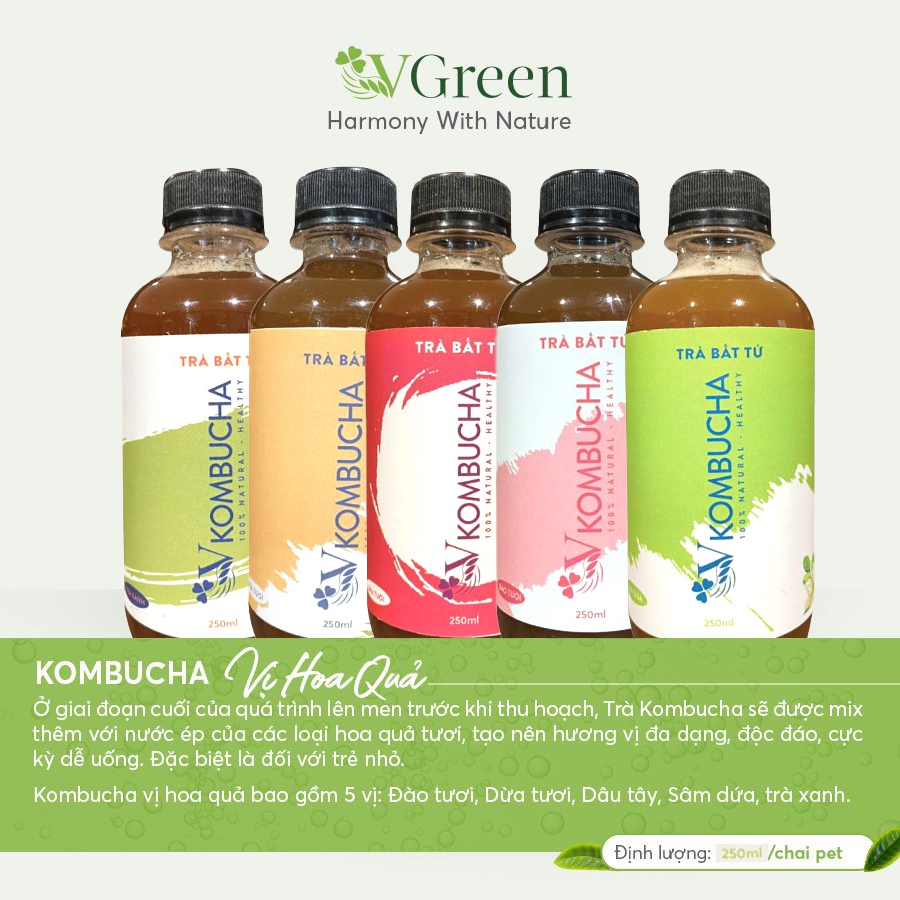 Trà bất tử KOMBUCHA VKOMBUCHA Vgreen 250ml FENNC