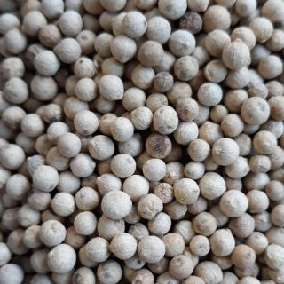 Tiêu sọ (tiêu trắng) 500g