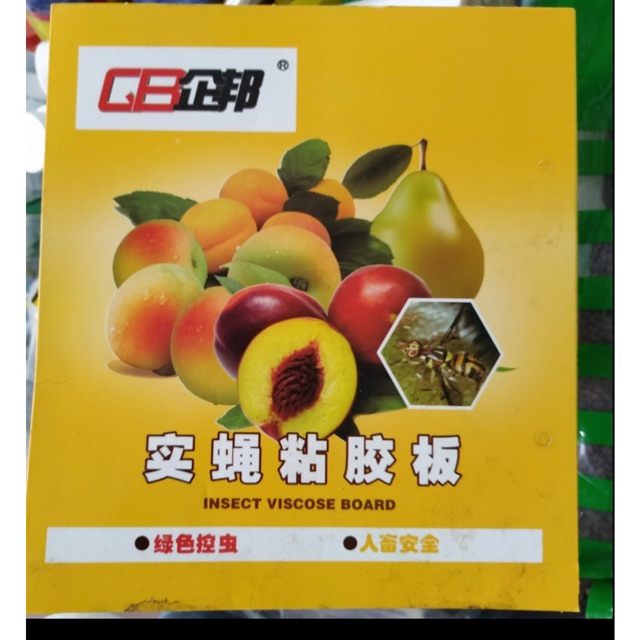 1 tập 10 tấm dính ruồi vàng