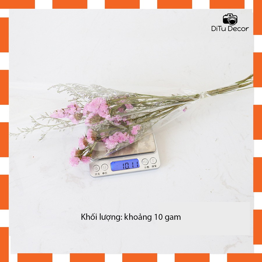 Bó hoa khô mix từ 2 loại hoa, cỏ để chụp ảnh, phụ kiện decor trang trí nhà - Ditu Decor