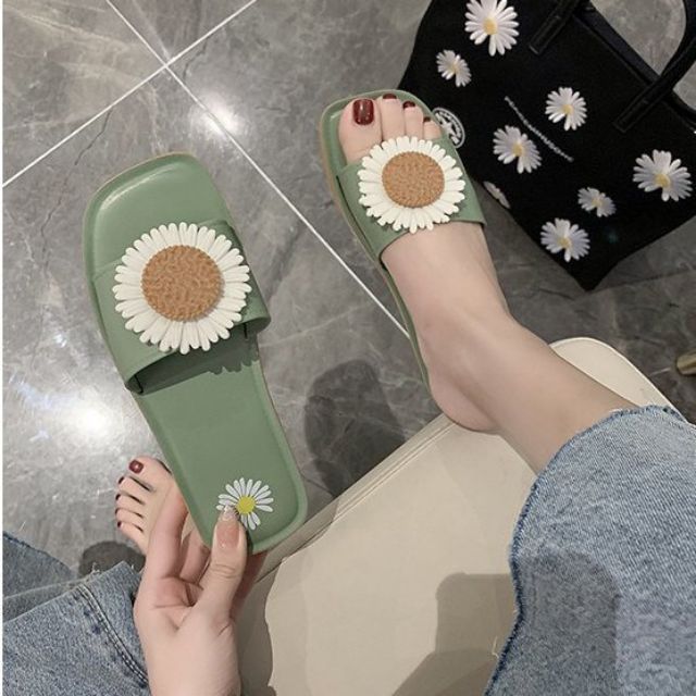 DÉP HOA CÚC ĐỦ MÀU