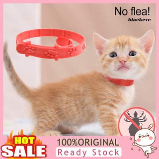 Vòng cổ chống bọ chét cho thú cưng