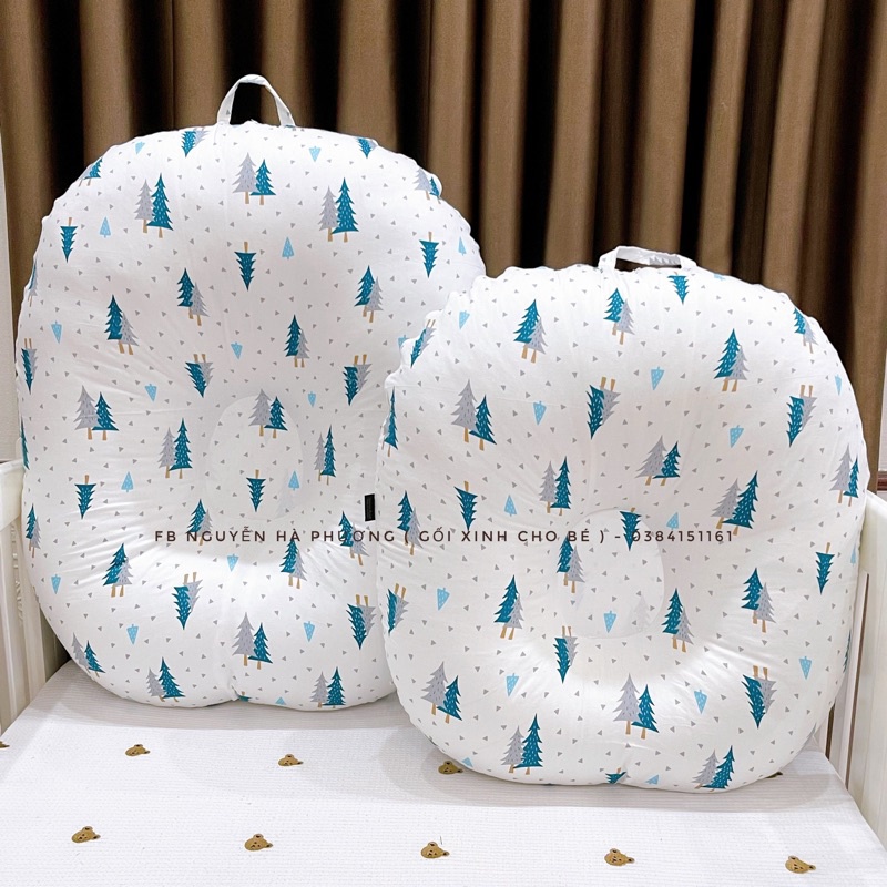 Gối chống trào ngược cao cấp