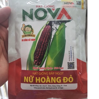 Hạt giống bắp nữ hoàng đỏ nova kns32 - gói 500 hạt