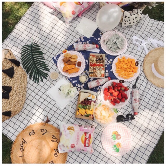 Thảm picnic dã ngoại, khăn trải bàn, vải chụp ảnh đa năng - Décor nhà Sò