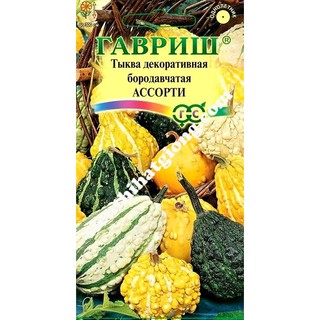 Hạt Giống Bí Ngô Kiểng (0,5g)